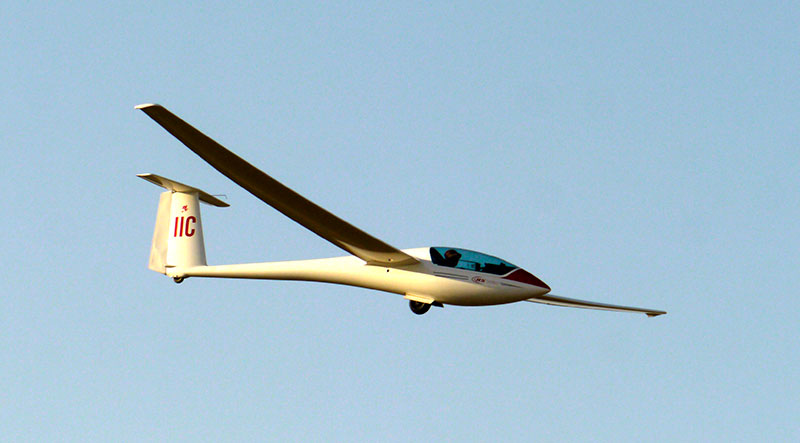 Davis 1140049
