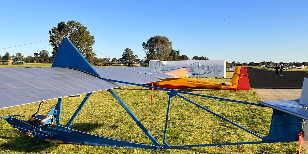 Temora 2
