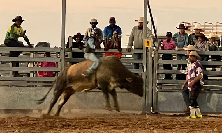 John Riedl MG cowboys