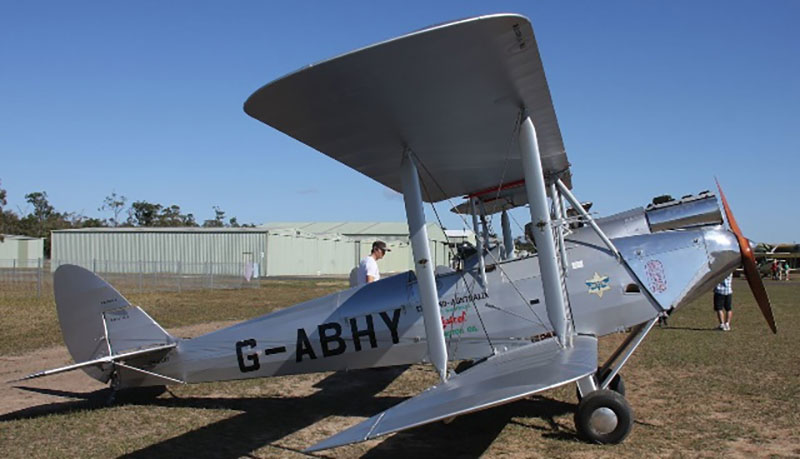 8. tiger moth