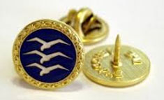 FAI badges n